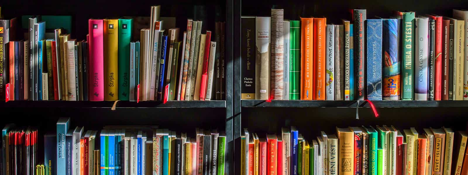 Shelves full of books. 